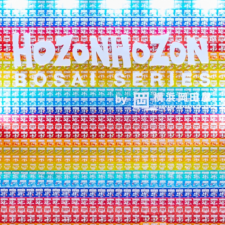 HOZON<br>HOZON<br>Bosai Series